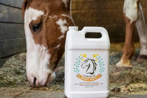 Smart Earth Camelina Horse Oil Supplement for Equine Care & Feed | Essential Oils for Joint Health | 1gal Jug in Kuwait