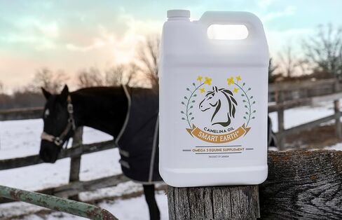 Smart Earth Camelina Horse Oil Supplement for Equine Care & Feed | Essential Oils for Joint Health | 1gal Jug in Kuwait