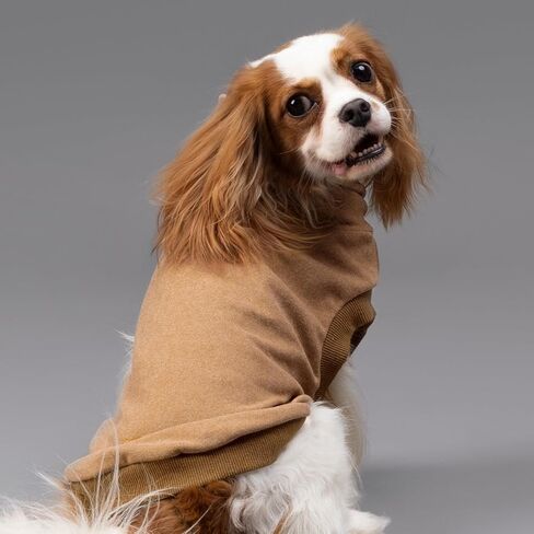 Fitwarm الياقة المدورة الصوف الكلب سترة، الملابس الشتوية الحرارية للكلاب الصغيرة صبي فتاة، كلب خفيف الوزن معطف الطقس البارد، البلوز هزلي البلوز، الزي الحيوانات الأليفة، الأخضر العسكري، الزيتون الأخضر، XL in Kuwait