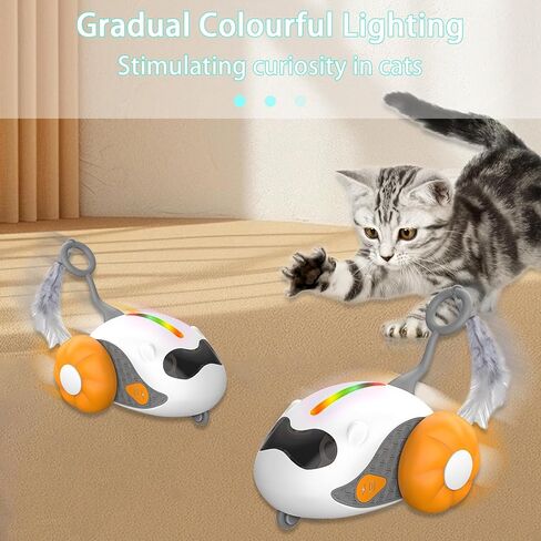 ألعاب تفاعلية للتحكم عن بعد للقطط، ألعاب ذكية للقطط مع ريش، ألعاب كهربائية للقطط مع أضواء LED، ألعاب متنقلة أوتوماتيكية قابلة لإعادة الشحن للقطط، جهاز تحكم عن بعد ووضع تلقائي in Kuwait