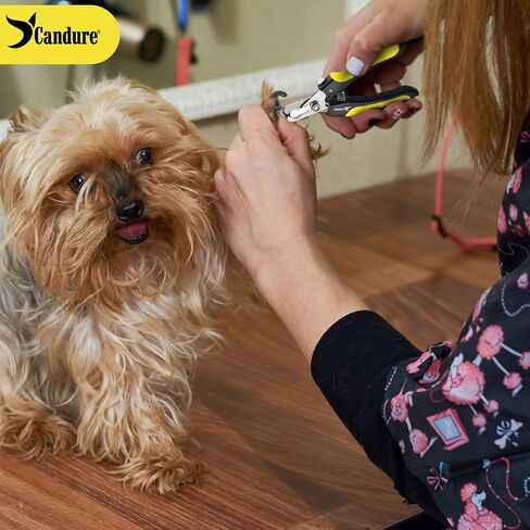 Candure Dog Nail Clippers Professional Dog Nail Trimmers Suitable for Large to Medium Dogs, Cats, Rabbits and Guinea Pigs - Safety Lock/Protective Guard to Avoid Over Cutting in Kuwait