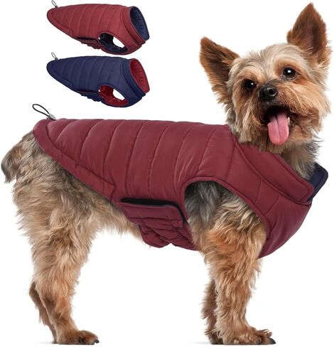 Bonaweite معطف الكلب القابل للعكس، سترة الكلب المقاومة للرياح، معطف الشتاء العاكس للكلاب، ملابس الكلاب للكلاب متوسطة الحجم، معاطف الطقس البارد المقاومة للماء للكلاب، سترة برتقالية عالية الوضوح للكلاب المتوسطة in Kuwait