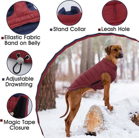 Bonaweite معطف الكلب القابل للعكس، سترة الكلب المقاومة للرياح، معطف الشتاء العاكس للكلاب، ملابس الكلاب للكلاب متوسطة الحجم، معاطف الطقس البارد المقاومة للماء للكلاب، سترة برتقالية عالية الوضوح للكلاب المتوسطة in Kuwait