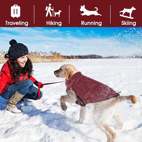 Bonaweite معطف الكلب القابل للعكس، سترة الكلب المقاومة للرياح، معطف الشتاء العاكس للكلاب، ملابس الكلاب للكلاب متوسطة الحجم، معاطف الطقس البارد المقاومة للماء للكلاب، سترة برتقالية عالية الوضوح للكلاب المتوسطة in Kuwait