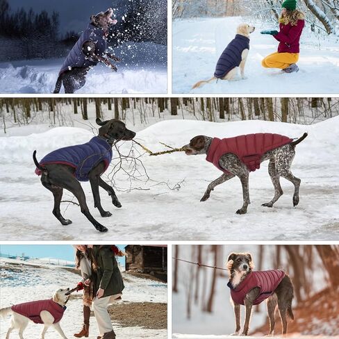 Bonaweite معطف الكلب القابل للعكس، سترة الكلب المقاومة للرياح، معطف الشتاء العاكس للكلاب، ملابس الكلاب للكلاب متوسطة الحجم، معاطف الطقس البارد المقاومة للماء للكلاب، سترة برتقالية عالية الوضوح للكلاب المتوسطة in Kuwait