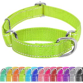 Martingale Dog Collar, Slip Martingale Collar with No Buckle, Adjustable Pet Trainning Collar for Small Medium Large Dogs, Reflective Heavy Duty Nylon No Pull Martingale Collar, XS, Turquoise