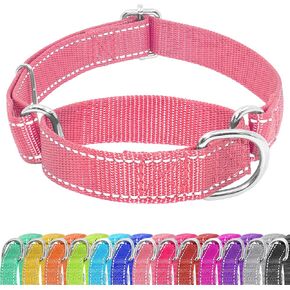Martingale Dog Collar, Slip Martingale Collar with No Buckle, Adjustable Pet Trainning Collar for Small Medium Large Dogs, Reflective Heavy Duty Nylon No Pull Martingale Collar, XS, Turquoise