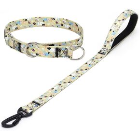 Dog Collar and Leash Set, Slip Collar with Stop Ring, No Pull Martingale Collar for Dogs, for Small, Medium, Large Dogs (NO17, S)