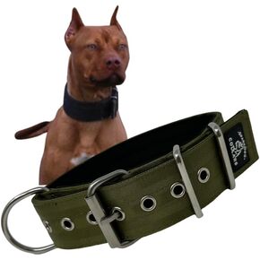 Working Dog Collar - 2" Wide Dog Collar, 4ply Polyester Seatbelt Webbing, Heavy Duty Stainless Steel Welded Hardware, Tactical Style, Pitbull, Dog Collar for Large Dogs (L, Orange)