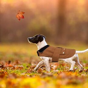 Warm Dog Jacket,Waterproof Dog Coat,Coats for Dogs,Large Medium Small Winter Dog Jackets,Puppy Pet Vest,Labrador Sweater,Corgi Pitbull Bulldog Sweaters,Doggie Clothes (Khaki, Small)