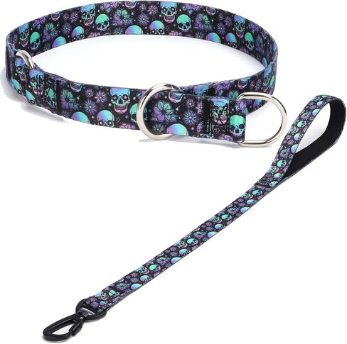 Dog Collar and Leash Set, Slip Collar with Stop Ring, No Pull Martingale Collar for Dogs, for Small, Medium, Large Dogs (NO17, S) in Kuwait