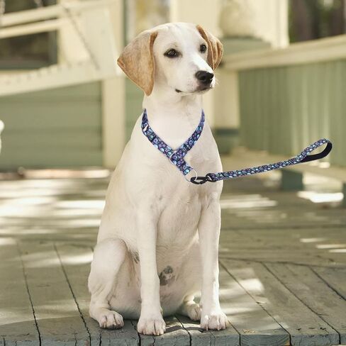 Dog Collar and Leash Set, Slip Collar with Stop Ring, No Pull Martingale Collar for Dogs, for Small, Medium, Large Dogs (NO17, S) in Kuwait
