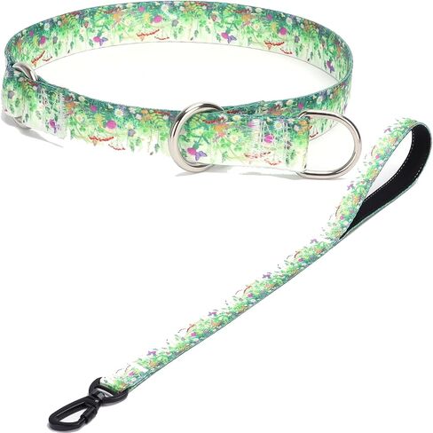 Dog Collar and Leash Set, Slip Collar with Stop Ring, No Pull Martingale Collar for Dogs, for Small, Medium, Large Dogs (NO17, S) in Kuwait