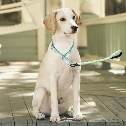 Dog Collar and Leash Set, Slip Collar with Stop Ring, No Pull Martingale Collar for Dogs, for Small, Medium, Large Dogs (NO17, S) in Kuwait