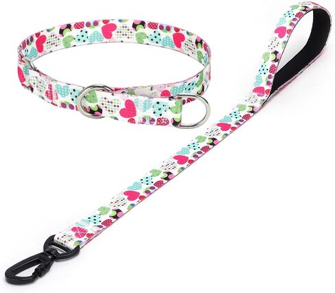 Dog Collar and Leash Set, Slip Collar with Stop Ring, No Pull Martingale Collar for Dogs, for Small, Medium, Large Dogs (NO17, S) in Kuwait