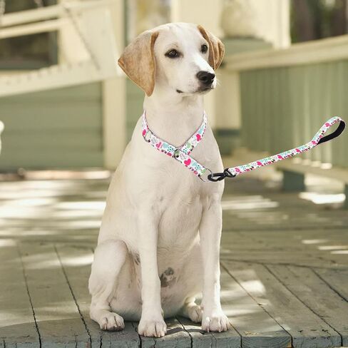 Dog Collar and Leash Set, Slip Collar with Stop Ring, No Pull Martingale Collar for Dogs, for Small, Medium, Large Dogs (NO17, S) in Kuwait