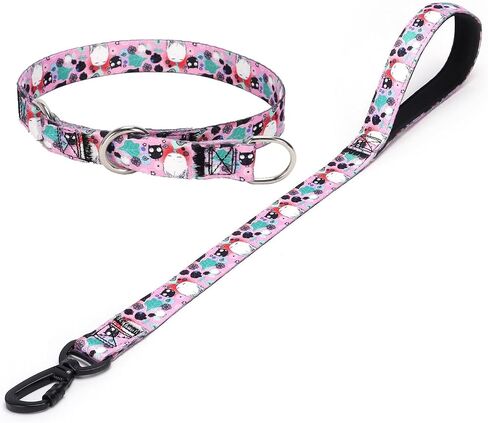 Dog Collar and Leash Set, Slip Collar with Stop Ring, No Pull Martingale Collar for Dogs, for Small, Medium, Large Dogs (NO17, S) in Kuwait