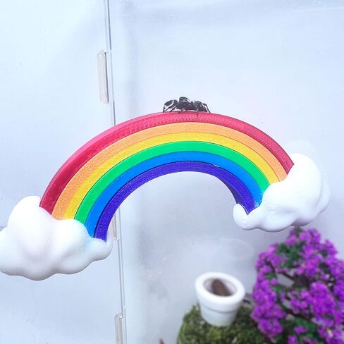 Jumping Spider Hidden Rainbow Bridge, Magnetic Jumping Spider Cloud Rainbow Platform, 3D Printed Spider Climbing Fence Accessories, Suitable for All Kinds of Small Insect Habitats (Small) in Saudi Arabia
