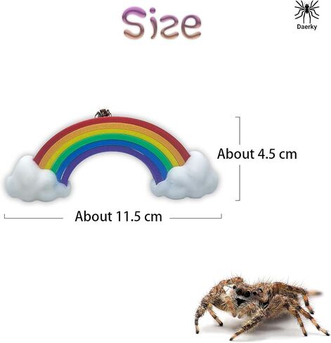 Jumping Spider Hidden Rainbow Bridge, Magnetic Jumping Spider Cloud Rainbow Platform, 3D Printed Spider Climbing Fence Accessories, Suitable for All Kinds of Small Insect Habitats (Small) in Saudi Arabia