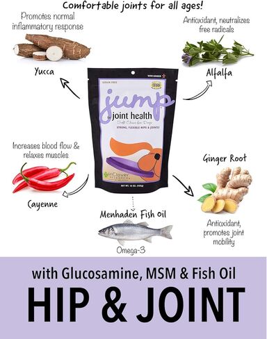 Jump Soft Chews for Daily Joint Care and Endurance Support for Dogs by InClover in Kuwait