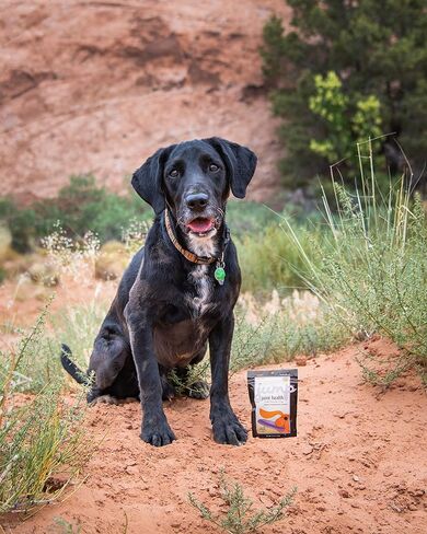 Jump Soft Chews for Daily Joint Care and Endurance Support for Dogs by InClover in Kuwait