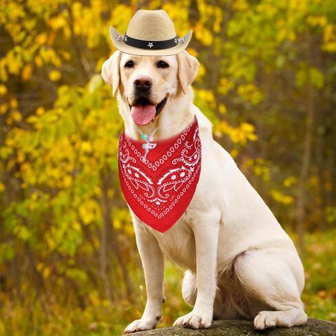 Dog Cowboy Hat and Bandana Dog Cowboy Costume Dog Halloween Costumes Funny Dog Costume for Small Medium Large Dogs Pets (Dark Brown Hat & Red Bandana, Large) in Saudi Arabia