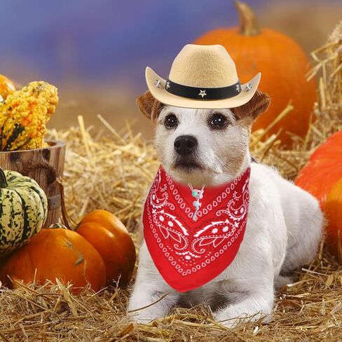 Dog Cowboy Hat and Bandana Dog Cowboy Costume Dog Halloween Costumes Funny Dog Costume for Small Medium Large Dogs Pets (Dark Brown Hat & Red Bandana, Large) in Saudi Arabia