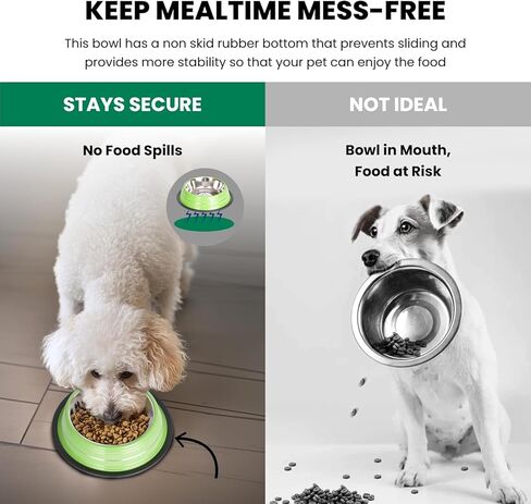 Iconic Pet 1 Cup/8 Oz Elegant Stainless Steel Color Splash Food/Water Bowl with Non Skid, Noise Free, Removable Rubber Ring - Dog/ Cat Feeding Bowl In color shade, Dishwasher Safe - Pink, 2 Bowls in Kuwait