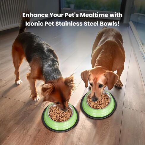 Iconic Pet 1 Cup/8 Oz Elegant Stainless Steel Color Splash Food/Water Bowl with Non Skid, Noise Free, Removable Rubber Ring - Dog/ Cat Feeding Bowl In color shade, Dishwasher Safe - Pink, 2 Bowls in Kuwait