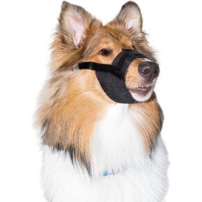 Premier Pet Dog Muzzle - Medium, Adjustable Padded Fit for Comfort, Reduces Nipping, Biting, and Barking, Ideal for Dog Grooming, Claw Clipping and Vet Visits