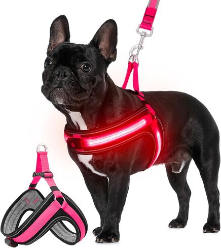 Dog Harness,Ayaseen Dog Lighted Harness,No Escape Dog Harness with Durable Buckle,No Chocking,Adjustable Reflective Breathable Harness with Double Traction D-Ring,Orange Harness-Glow Green in Saudi Arabia