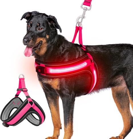 Dog Harness,Ayaseen Dog Lighted Harness,No Escape Dog Harness with Durable Buckle,No Chocking,Adjustable Reflective Breathable Harness with Double Traction D-Ring,Orange Harness-Glow Green in Saudi Arabia