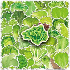 Lettuce Stickers 50 Pack Vinyl Laptop Stickers,Waterproof Stickers for Water Bottles,-Graffiti Stickers Pack for Teens Girls Kids Adults(Lettuce Stickers)