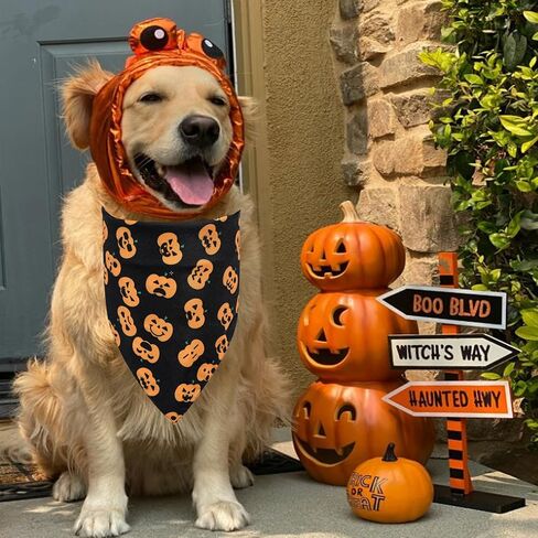 Halloween Dog Bandanas, LMSHOWOWO 2 Pack Double Layer Reversible Pumpkin Spider Web Dog Halloween Bandana, Premium Dog Halloween Costume Holiday Dog Bandana for Small Medium Large Dogs Cats Pets in Saudi Arabia