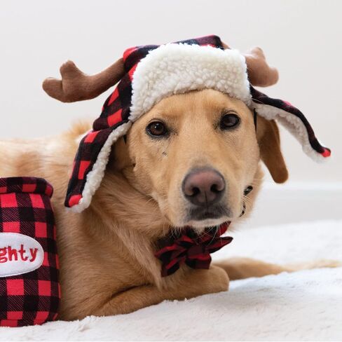 Huxley & Kent Pet Hat | Ugly Sweater Antler (Medium) | Fun Christmas Holiday Hat for Dogs/Cats | Cute, Comfortable and Fun | SnugFit Strings for Best Fit in Kuwait