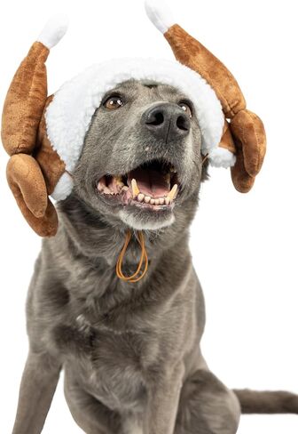 Huxley & Kent Pet Hat | Ugly Sweater Antler (Medium) | Fun Christmas Holiday Hat for Dogs/Cats | Cute, Comfortable and Fun | SnugFit Strings for Best Fit in Kuwait