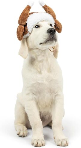 Huxley & Kent Pet Hat | Ugly Sweater Antler (Medium) | Fun Christmas Holiday Hat for Dogs/Cats | Cute, Comfortable and Fun | SnugFit Strings for Best Fit in Kuwait