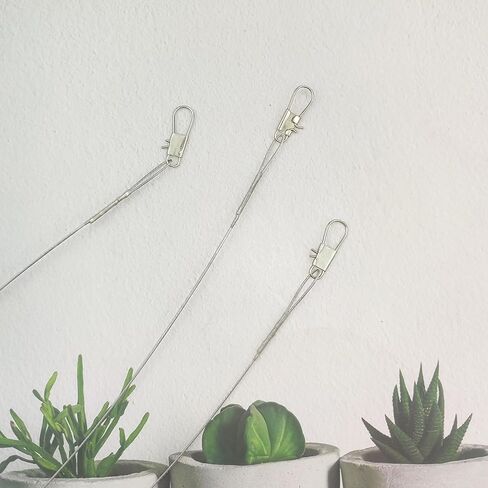 60 قطعة من أسلاك الصيد، خطافات صيد السمك، ترقية زعيم الفولاذ المقاوم للصدأ عالي القوة، خطافات صيد الأسماك الرائدة، خطافات صيد السمك لطعم الطعم أو خطافات الصيد هدية in Kuwait