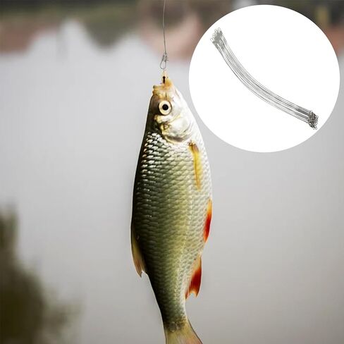 60 قطعة من أسلاك الصيد، خطافات صيد السمك، ترقية زعيم الفولاذ المقاوم للصدأ عالي القوة، خطافات صيد الأسماك الرائدة، خطافات صيد السمك لطعم الطعم أو خطافات الصيد هدية in Kuwait