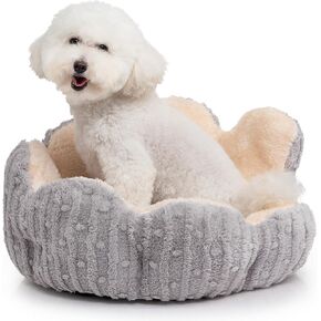 Hollypet Calming Cat Beds for Indoor Cats - Cute Cactus Pet Beds, Fluffy Puppy Bed, Non-Slip Extra Small Dog Bed, Pink