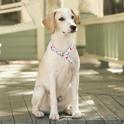 Serijoars Martingale Dog Collar - No-Pull Training Collar with Flower Multicolor Cute Patterns and Slidable Stop Ring (S, Grass) in Kuwait