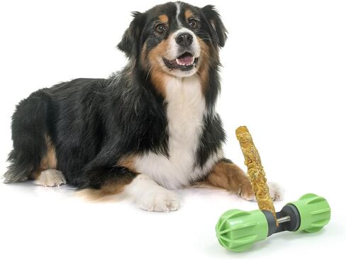 حامل مكافآت الكلاب من Bully Stick للكلاب، تمسك حتى آخر قضمة - ثابت بشكل آمن للمساعدة في منع الاختناق، جهاز أمان للكلاب - غطاء من السيليكون لحماية الأرضية وتقليل الضوضاء (أخضر) in Kuwait