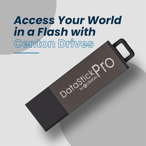 محرك فلاش Centon Electronics DataStick Pro USB 2.0، محرك فلاش USB سعة 4 جيجابايت، رمادي in Kuwait