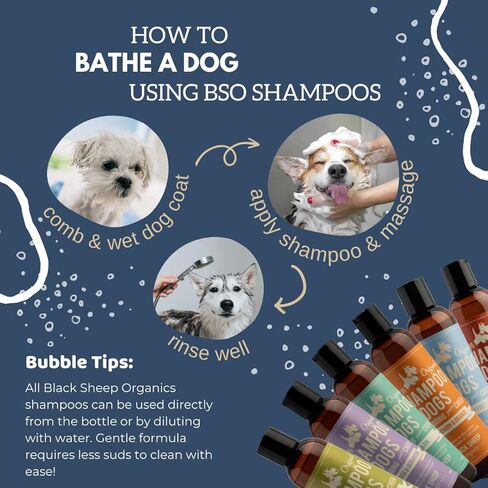 شامبو الكلاب النباتي بالكامل - موازنة الزيت وإزالة تساقط بشرة الكلاب الجافة أو الدهنية - من شركة بلاك شيب أورجانيكس المصنوعة في كندا in Kuwait