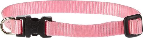 LupinePet Basics 1/2" Pink 10-16" Adjustable Collar for Small Dogs in Saudi Arabia