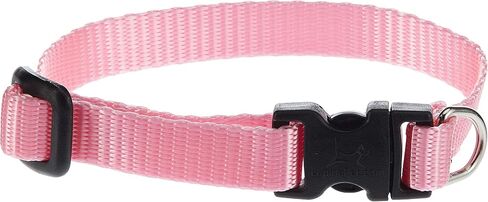 LupinePet Basics 1/2" Pink 10-16" Adjustable Collar for Small Dogs in Saudi Arabia