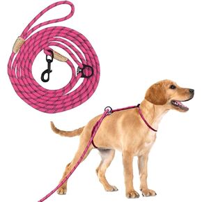 12ft No Pull No Choke Leash Long Rope Dog Leash, Anti Pulling Dog Leash, Dog Harness and Leash, Dog Leads for Walking, Double Hook & Escape Proof for All Breeds, Reflective Purple