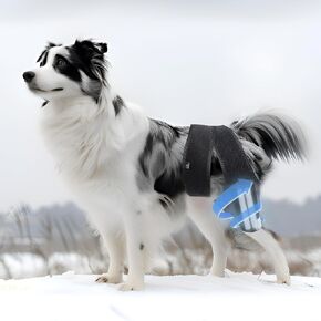 Dog Knee Brace for back leg, Dog ACL Brace Hind Leg for Relieve Joint Pain, Ligament Injury and Muscle Sore, Two Supporting Steel Bars Enhance Stability, Reduces Pain and Inflammation (Size: L)