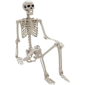 Halloween Skeletons Decorations, 16" Full Body Realistic Faux Human Skeleton, Skull Halloween Decor for Table Haunted House Props