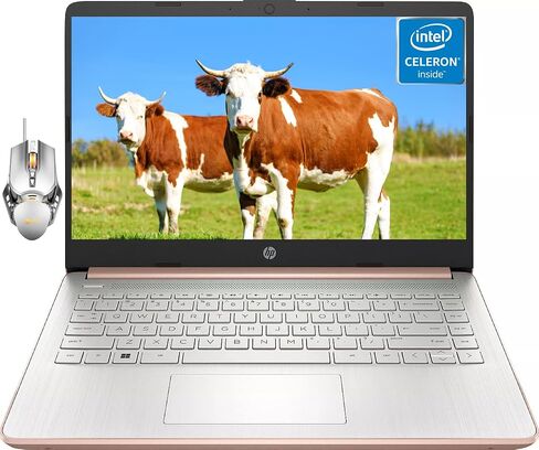 أحدث كمبيوتر محمول HP مقاس 14 بوصة للأعمال الطلابية، Intel Quad-Core N4120، ذاكرة الوصول العشوائي 16 جيجابايت، 128 جيجابايت eMMC، مكتب لمدة عام 365، عمر بطارية طويل، بلوتوث، رفيع وخفيف، MicroSD، HDMI، Windows 11 Home in Saudi Arabia